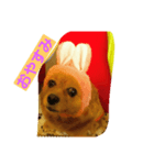 mocha_2（個別スタンプ：5）
