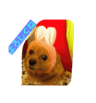 mocha_2（個別スタンプ：7）