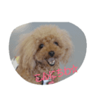 I Love Angle（個別スタンプ：1）
