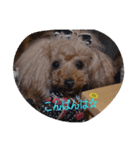 I Love Angle（個別スタンプ：6）