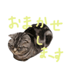 パムのゆるい一言。（個別スタンプ：32）