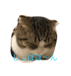 凛と陸（個別スタンプ：1）