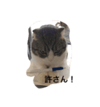 凛と陸（個別スタンプ：5）