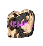 凛と陸（個別スタンプ：6）