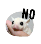 Momo＆House           フクロモモンガ（個別スタンプ：7）