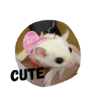 Momo＆House           フクロモモンガ（個別スタンプ：10）