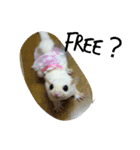 Momo＆House           フクロモモンガ（個別スタンプ：23）