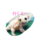 Momo＆House           フクロモモンガ（個別スタンプ：27）