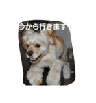 うじゃに2（個別スタンプ：7）