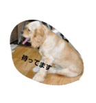 うじゃに2（個別スタンプ：9）