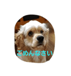 うじゃに2（個別スタンプ：12）