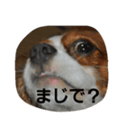 うじゃに2（個別スタンプ：24）