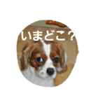 うじゃに2（個別スタンプ：26）