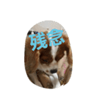 うじゃに2（個別スタンプ：27）