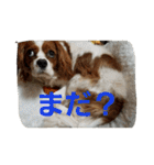 うじゃに2（個別スタンプ：28）
