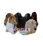 うじゃに2（個別スタンプ：30）