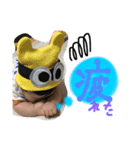 hanastamp03（個別スタンプ：5）