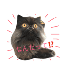 モジャ昆布さん（個別スタンプ：5）