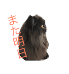 モジャ昆布さん（個別スタンプ：8）
