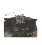 モジャ昆布さん（個別スタンプ：12）
