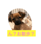 SORAKUNKAWAII（個別スタンプ：6）