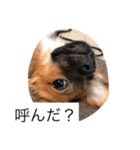 SORAKUNKAWAII（個別スタンプ：8）
