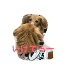Muku＆Riku（個別スタンプ：2）