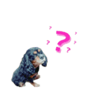 キャバちゃんず（個別スタンプ：1）