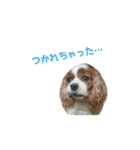 キャバちゃんず（個別スタンプ：3）