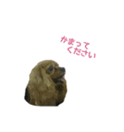 キャバちゃんず（個別スタンプ：5）