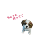 キャバちゃんず（個別スタンプ：9）