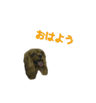 キャバちゃんず（個別スタンプ：11）