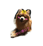 もあれお（個別スタンプ：3）