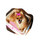 もあれお（個別スタンプ：4）