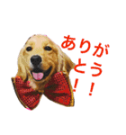 穀物ズのまいにちスタンプ（個別スタンプ：2）