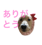 穀物ズのまいにちスタンプ（個別スタンプ：4）
