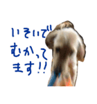 穀物ズのまいにちスタンプ（個別スタンプ：9）
