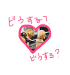 穀物ズのまいにちスタンプ（個別スタンプ：11）