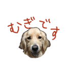穀物ズのまいにちスタンプ（個別スタンプ：14）
