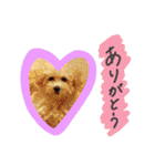 よく使う☆癒やしのふうにゃん（個別スタンプ：3）