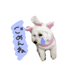 よく使う☆癒やしのふうにゃん（個別スタンプ：4）