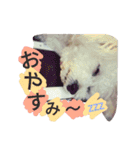 よく使う☆癒やしのふうにゃん（個別スタンプ：7）