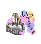 よく使う☆癒やしのふうにゃん（個別スタンプ：8）