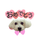よく使う☆癒やしのふうにゃん（個別スタンプ：9）