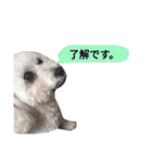 よく使う☆癒やしのふうにゃん（個別スタンプ：14）