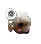 よく使う☆癒やしのふうにゃん（個別スタンプ：16）