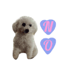 よく使う☆癒やしのふうにゃん（個別スタンプ：18）