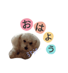よく使う☆癒やしのふうにゃん（個別スタンプ：19）