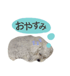 よく使う☆癒やしのふうにゃん（個別スタンプ：20）