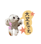 よく使う☆癒やしのふうにゃん（個別スタンプ：22）